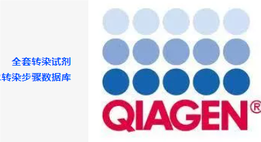 QIAGEN 转染试剂